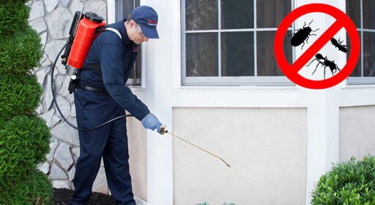 Başkale Bit İlaçlama böcek ilaçlama ve haşere kontrolü — ilaclama-tr.com
